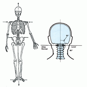 首痛みを改善し、身体の歪みや自律神経も整える