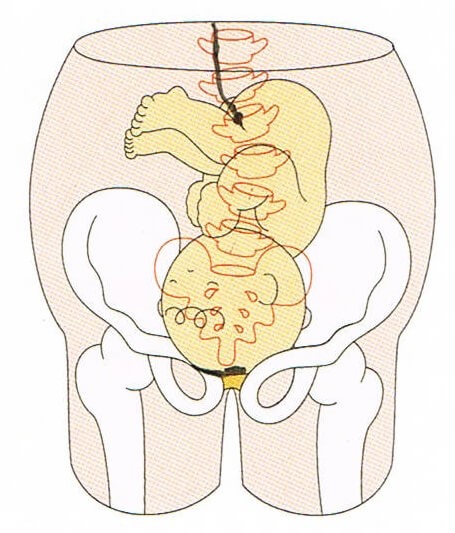 マタニティ整体 西宮市 30代 女性 主婦 妊婦さんの骨盤ケアを行い スピード出産 安産で産後も問題なく元気に過ごしております 西宮市にある首専門の整体 カイロ カイロプラクティック ステーション ありがとう