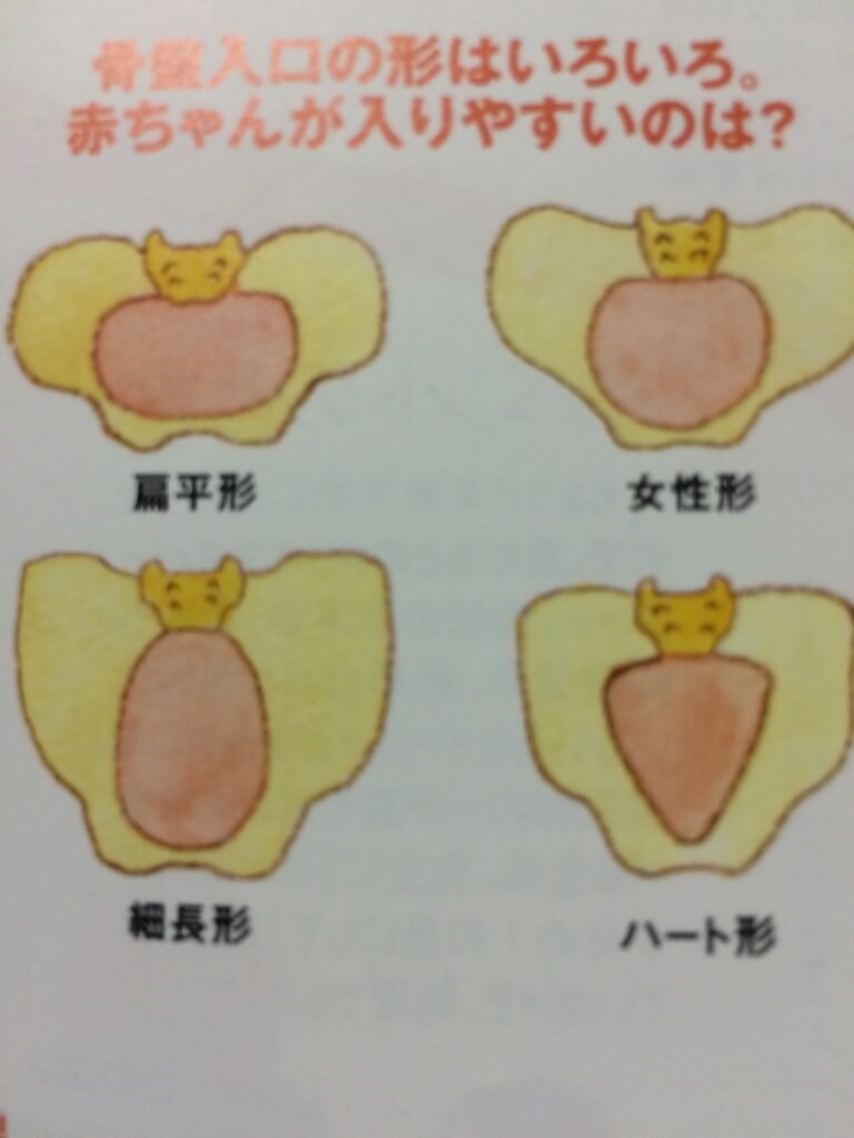 マタニティ整体 西宮市 30代 女性 主婦 妊婦さんの骨盤ケアを行い スピード出産 安産で産後も問題なく元気に過ごしております 西宮市にある首専門の整体 カイロ カイロプラクティック ステーション ありがとう